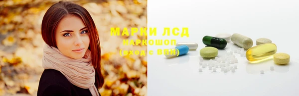 СК Тихвин