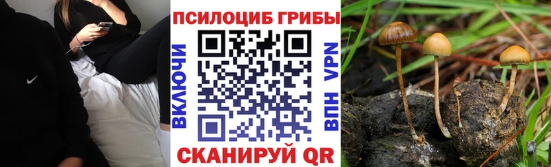 Галлюциногенные грибы мухоморы  KRAKEN ссылка  Устюжна 